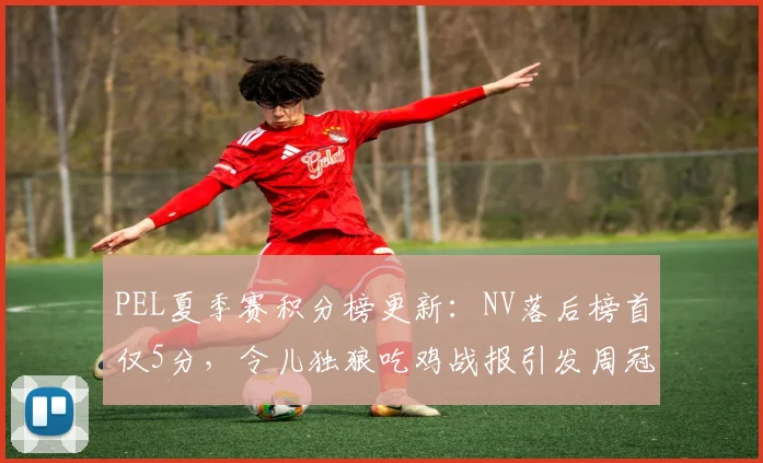 PEL夏季赛积分榜更新:NV落后榜首仅5分,令儿独狼吃鸡战报引发周冠争夺悬念__br_